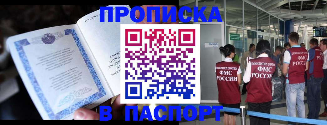 временная регистрация поиск в Курчалом